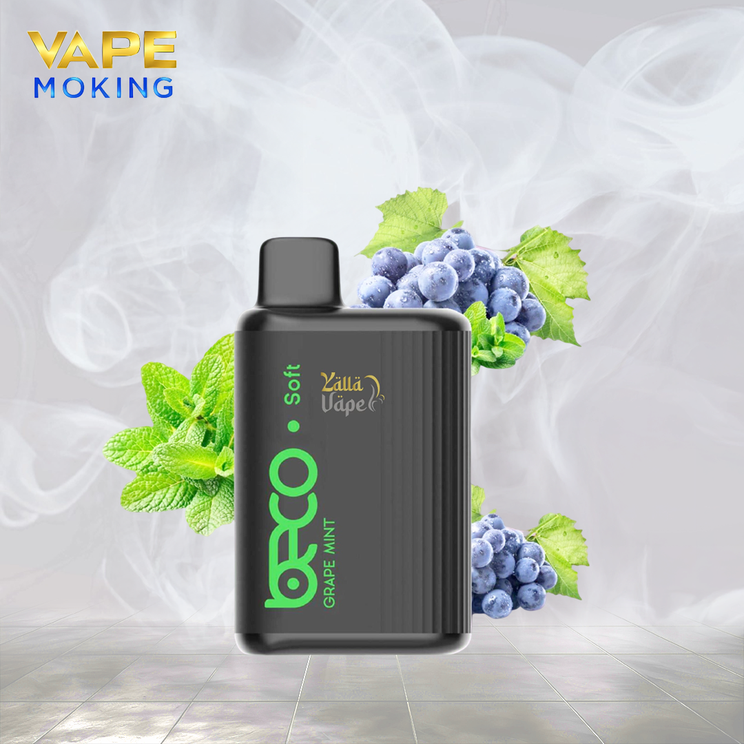 BECO 6000 PUFFS