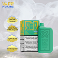 POD SALT 6000 PUFFS