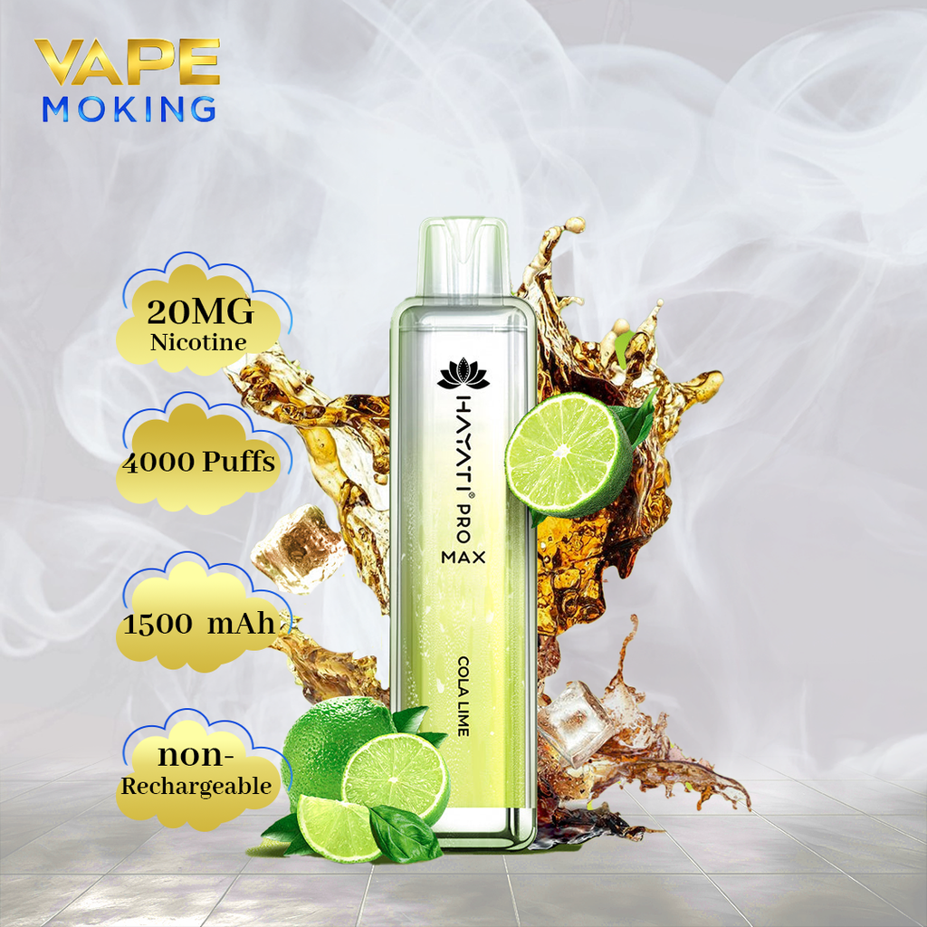 HAYATI PRO MAX 4000 PUFFS