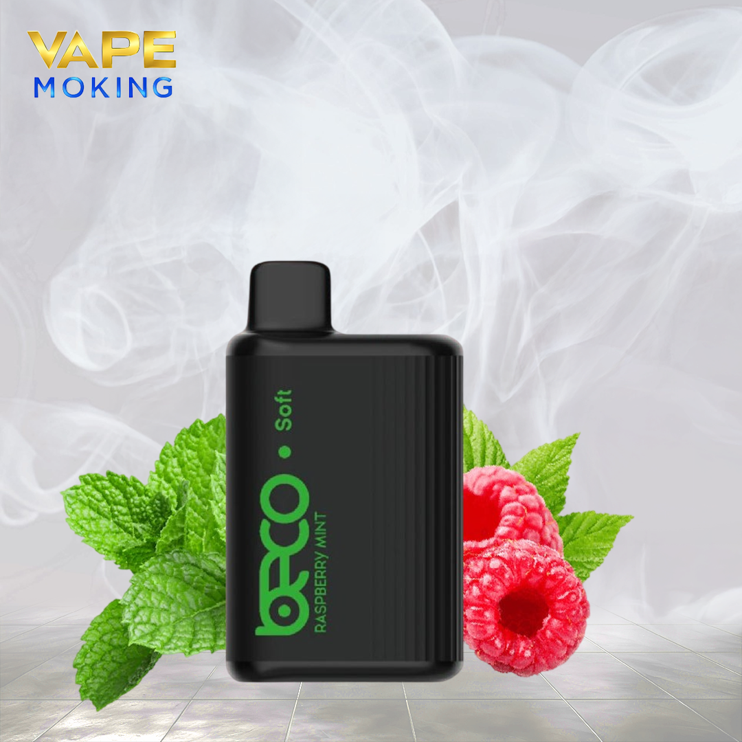 BECO 6000 PUFFS